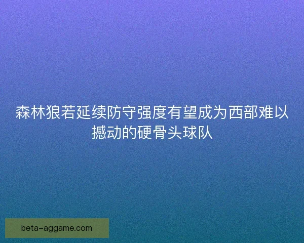森林狼若延续防守强度有望成为西部难以撼动的硬骨头球队